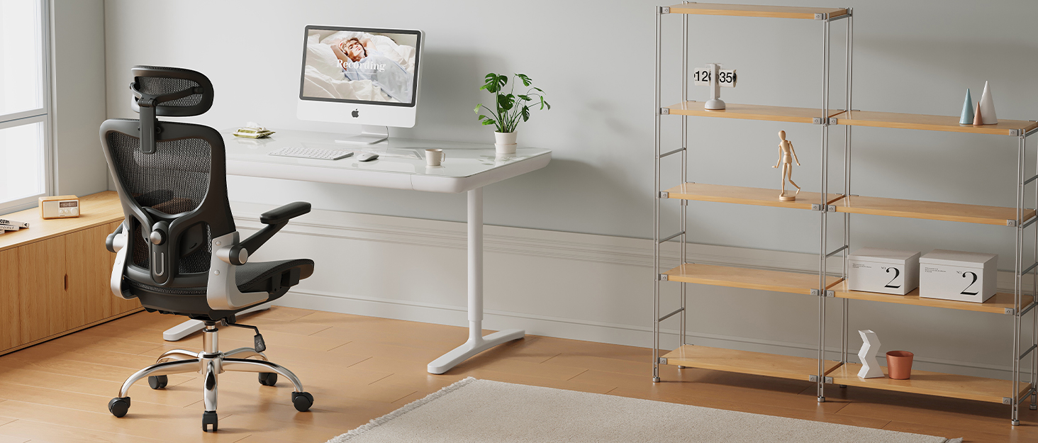 Ergonomic Office Chair