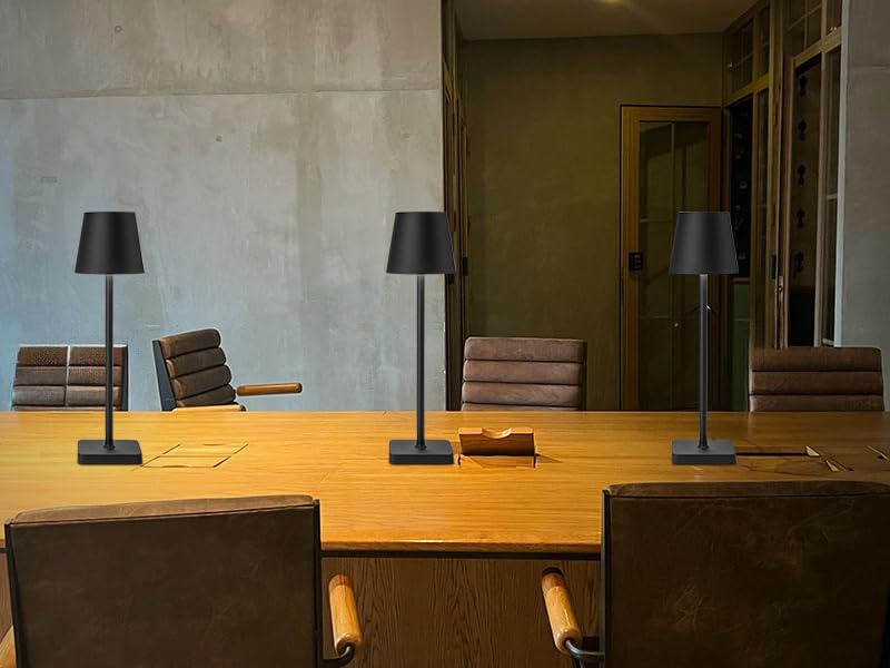 HASUN table lamp