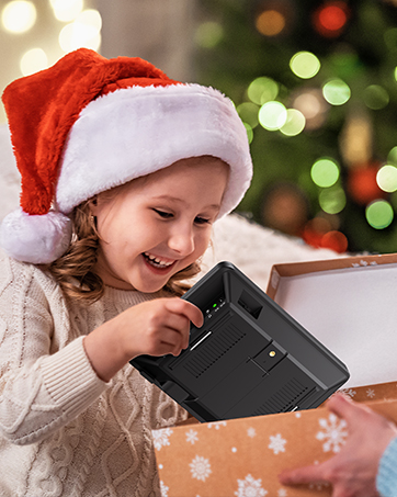 Big Sale for Christmas