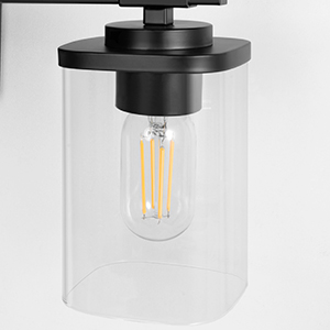 Clear Glass Shade