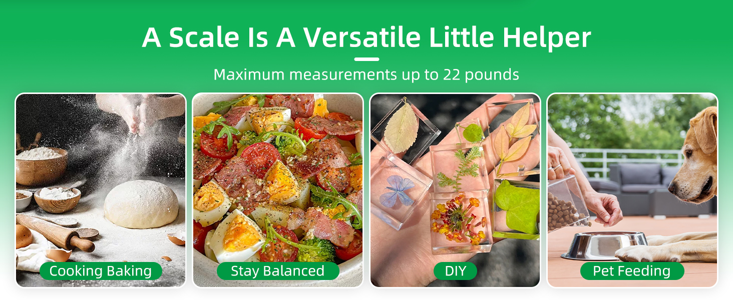Digital Food Scale