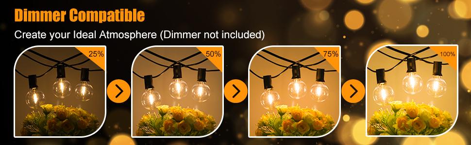 outdoor lights