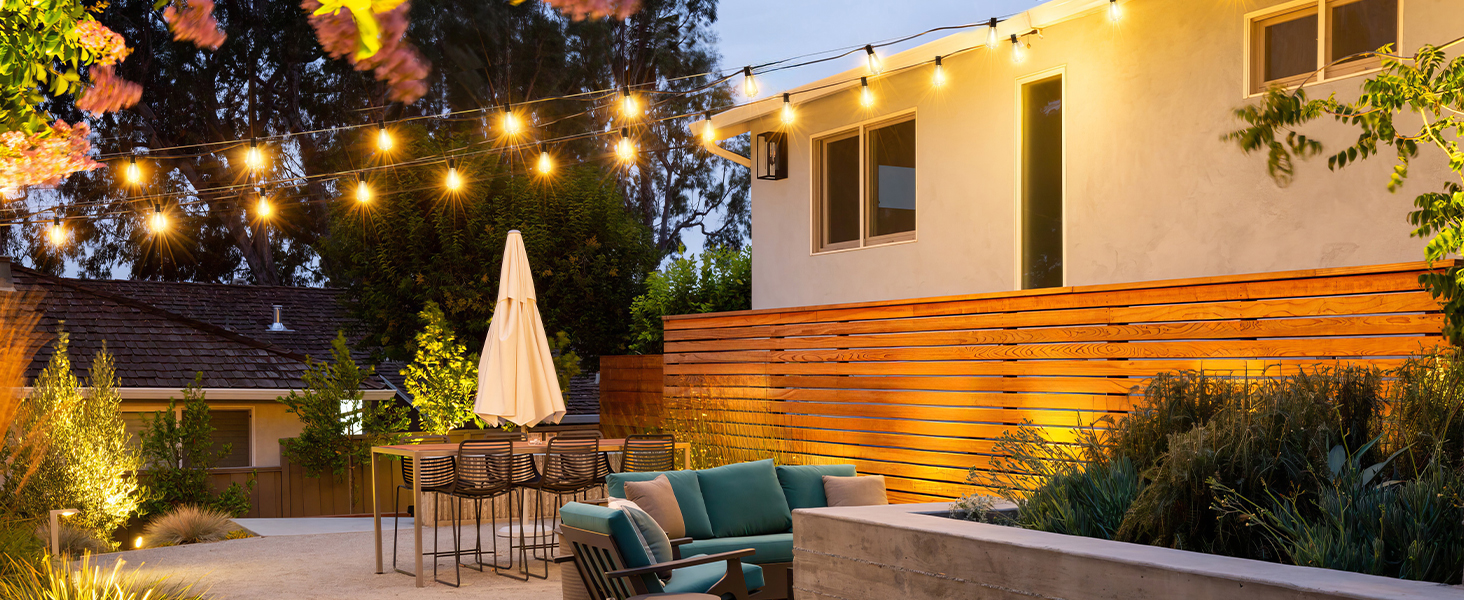 ｂａｃｋｙａｒｄ　ｌｉｇｈｔｓ