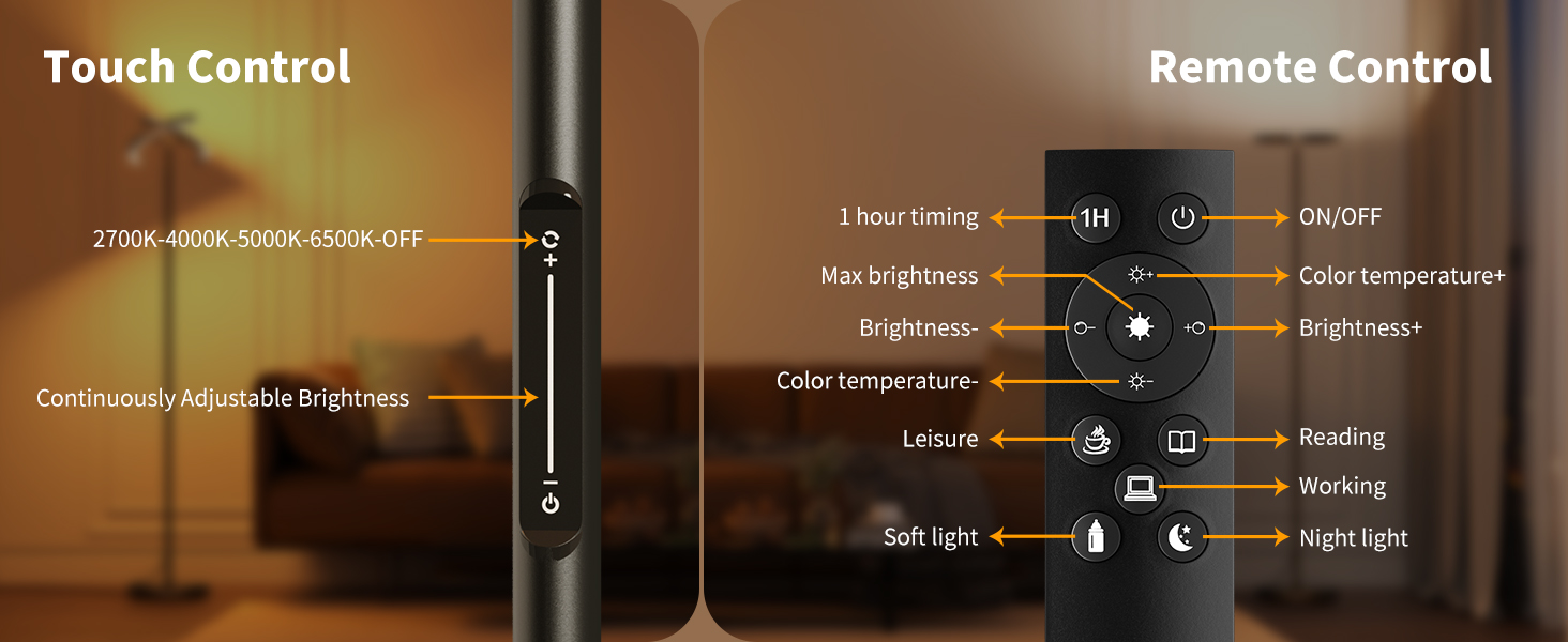 Floor Lamp with Remote Control and Touch Control