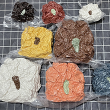 vacuum package