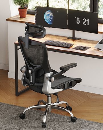 Ergonomic Office Chair