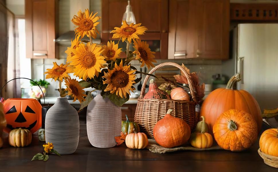 Halloween Decorations