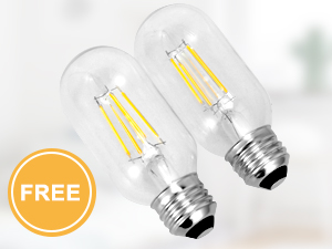 edison bulb lamp