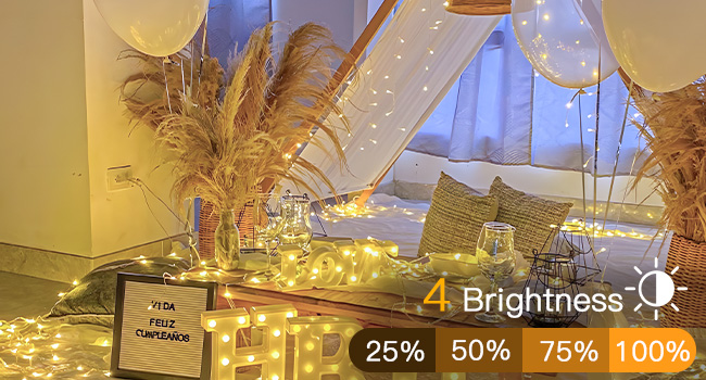 dimming string lights for party decor