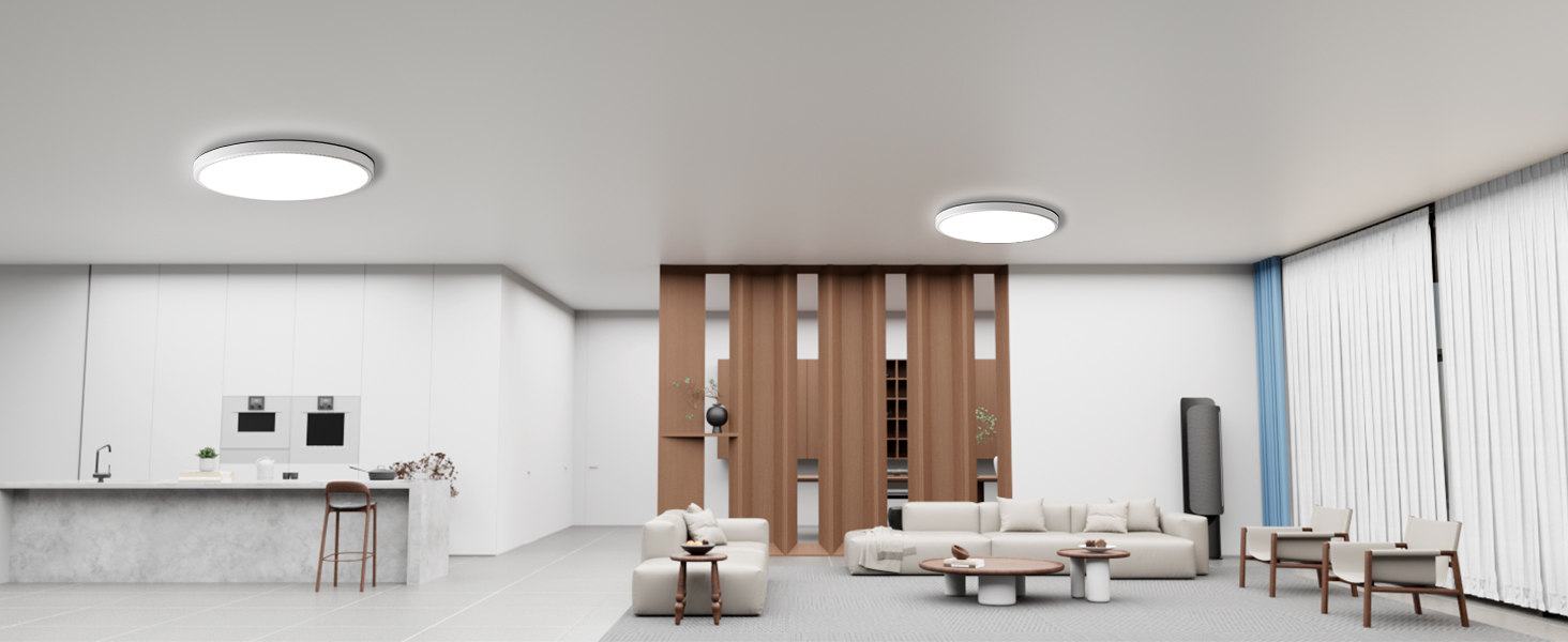 LED Ceiling Light