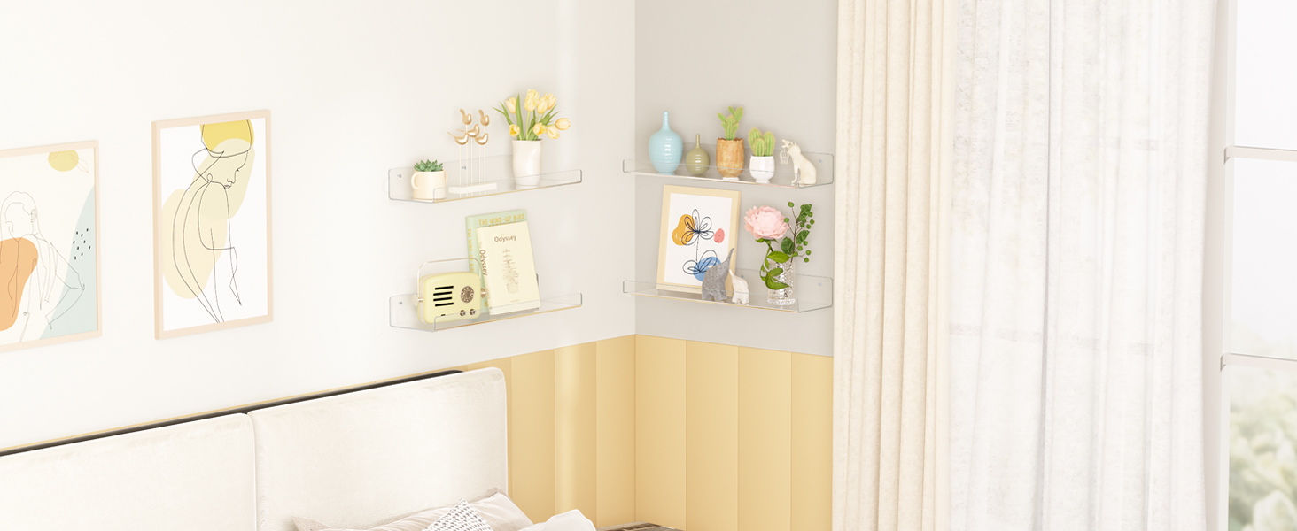 Acrylic Shelves