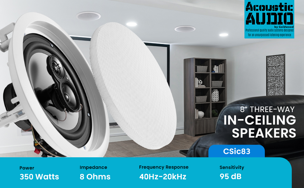 This image shows the speaker.