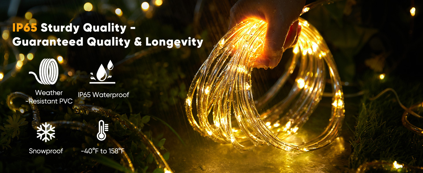solar lights outdoor