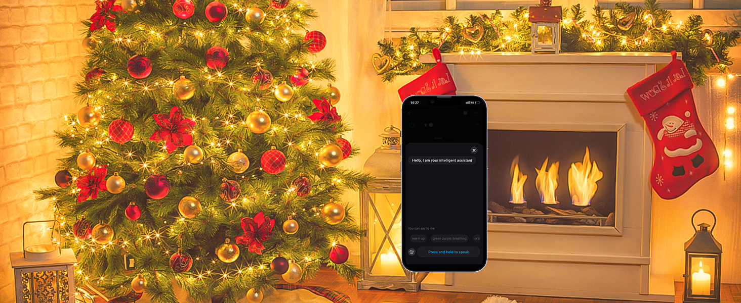 Intelligent Assisitant function, allowing you to input the commands to control the string lights.