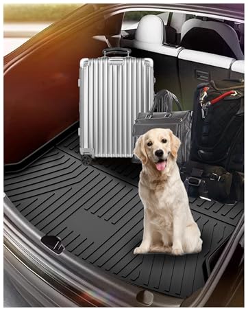 cargo liner