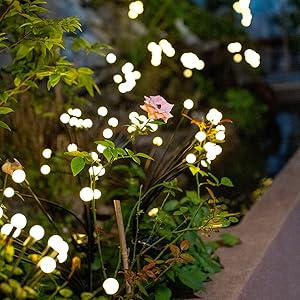 firefly lights