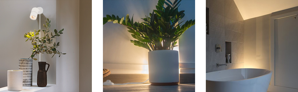 accent light