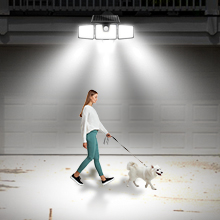 Solar landscape lights