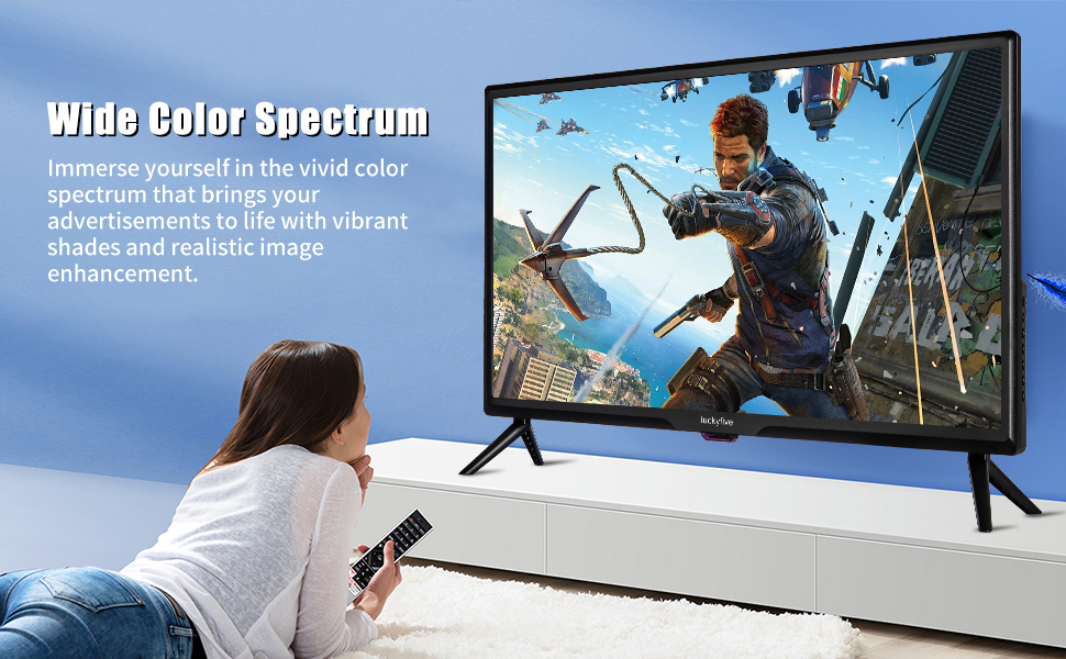 televison with sound remote