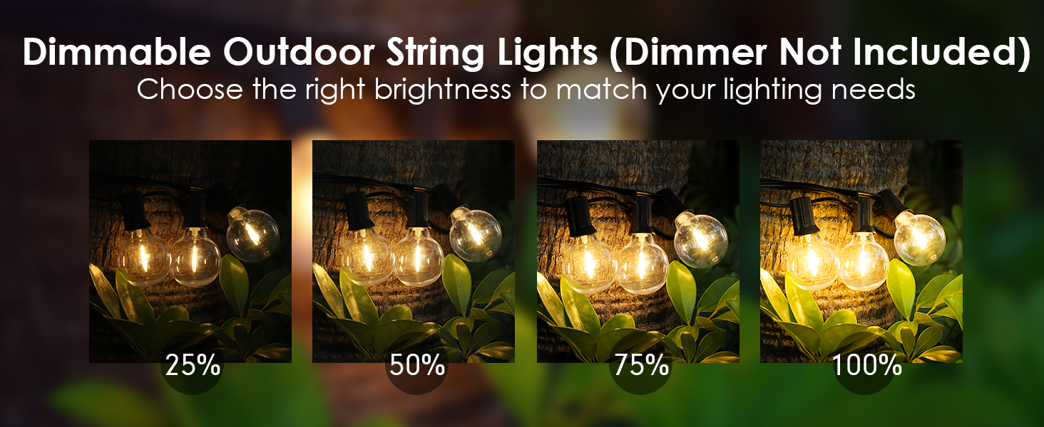 dimmable G40 string lights