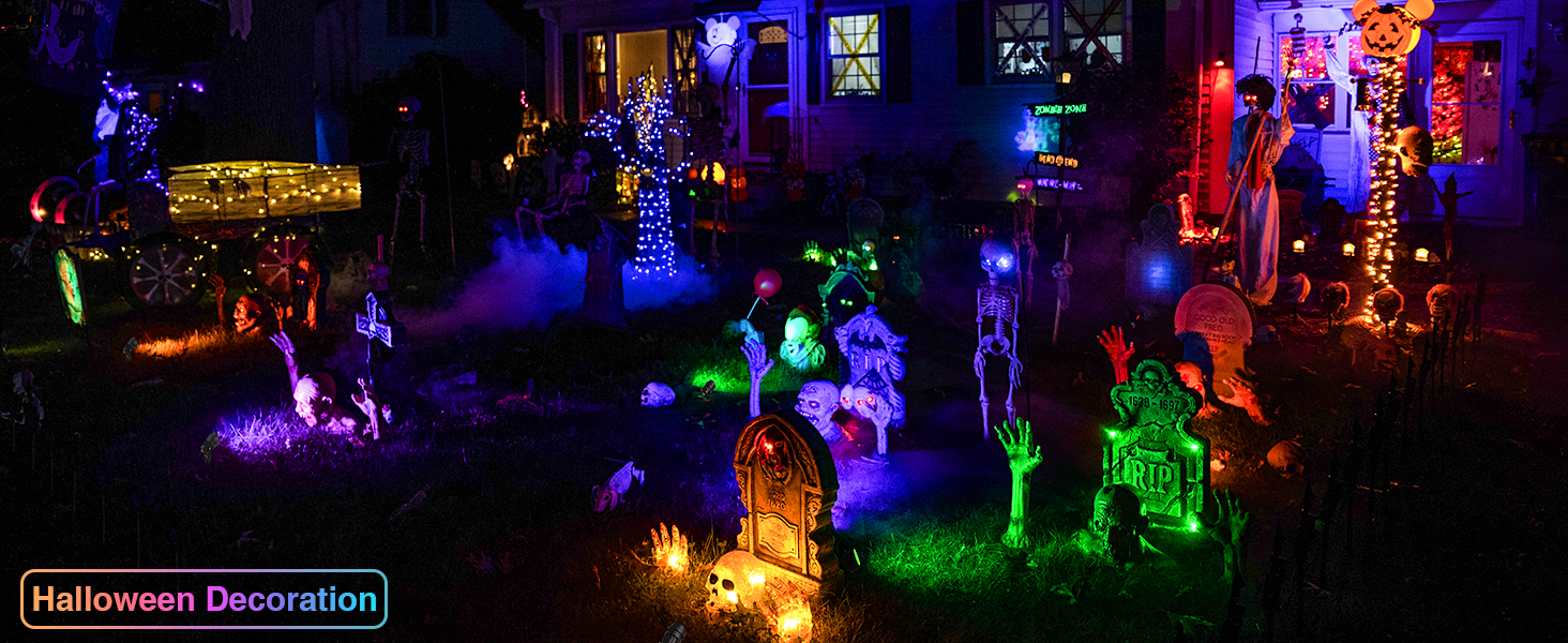 christmas landscape lights