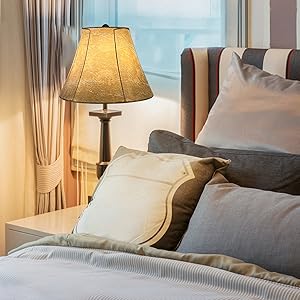 lampshade Lampshade set of 2