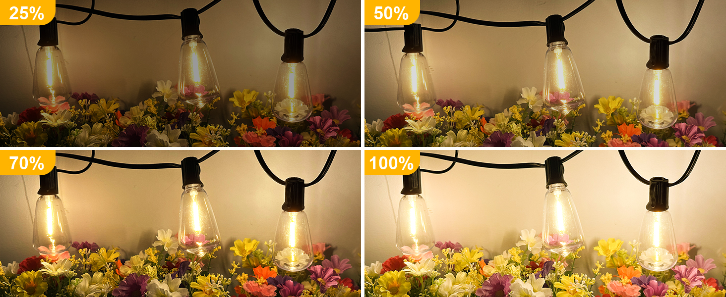 dimmable string lights