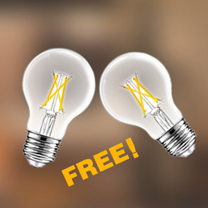 2 Energy Saving LED Bulbs Included