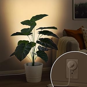 uplights indoor