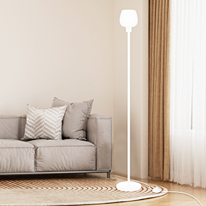 Standing Lamp with 3 Color Temps