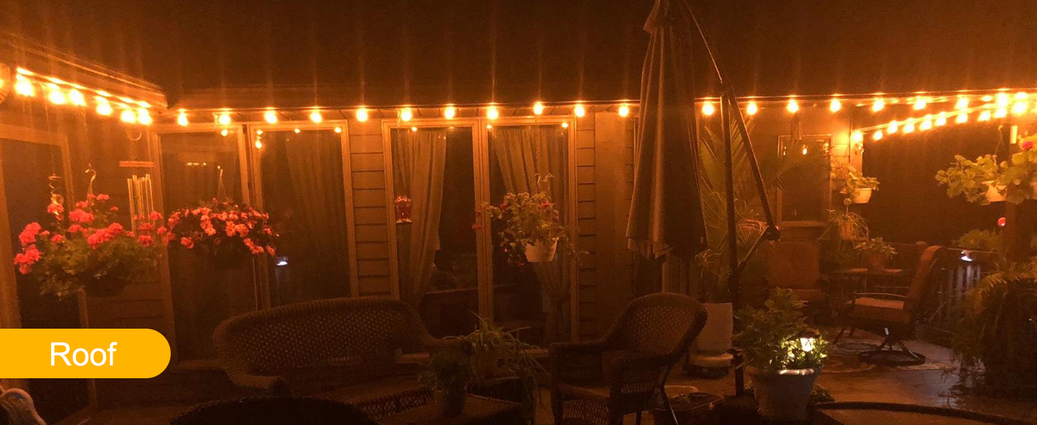 Roof Lights