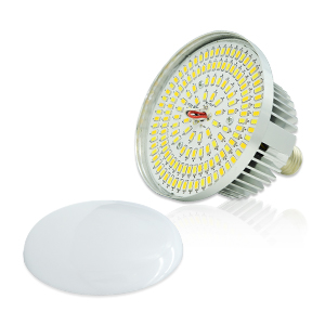 Softbox Lighting Kit