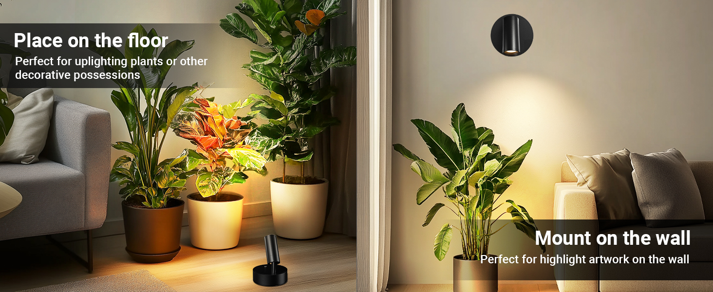 spot lights indoor