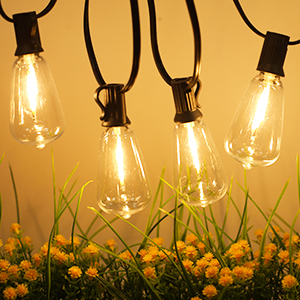 Dimmable string lights 150ft