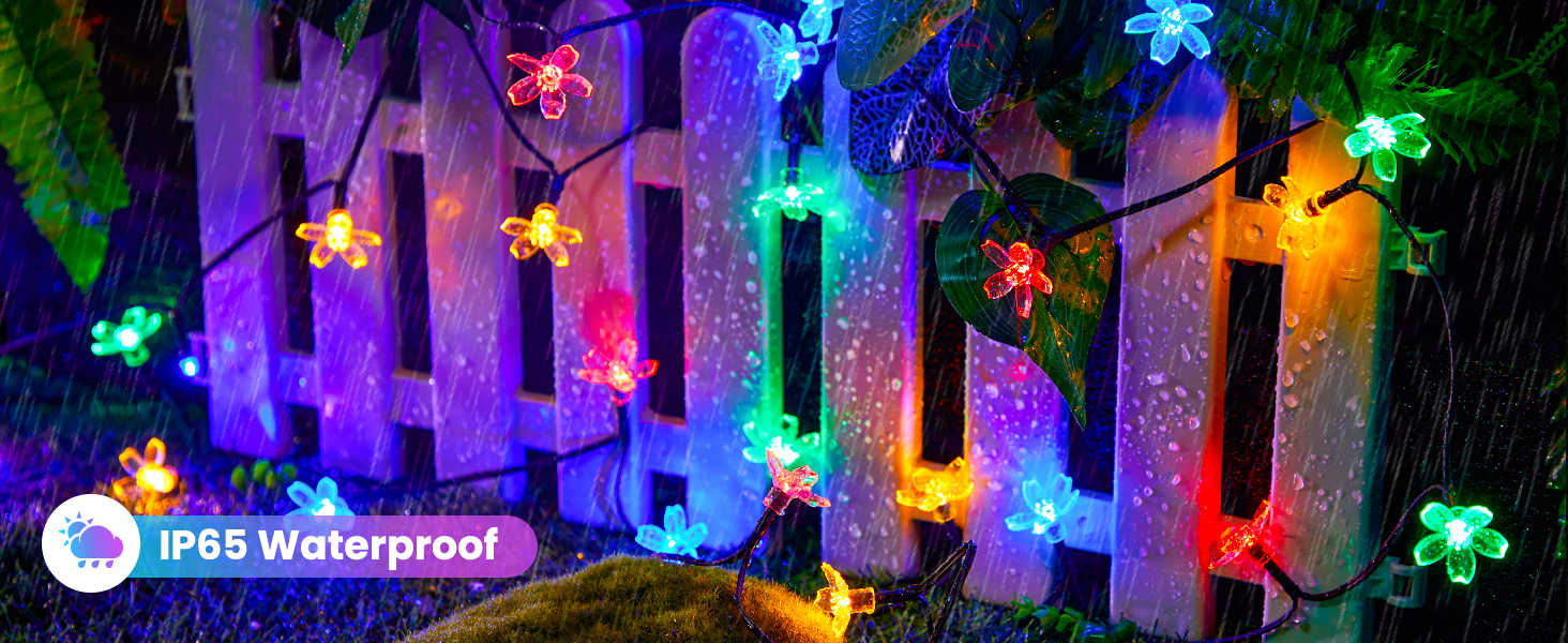 Solar String Lights