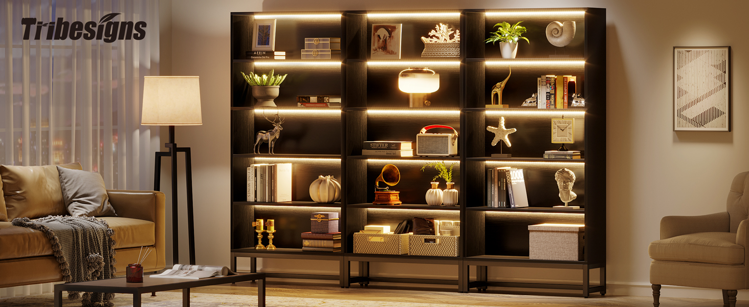 Library Bookshelf