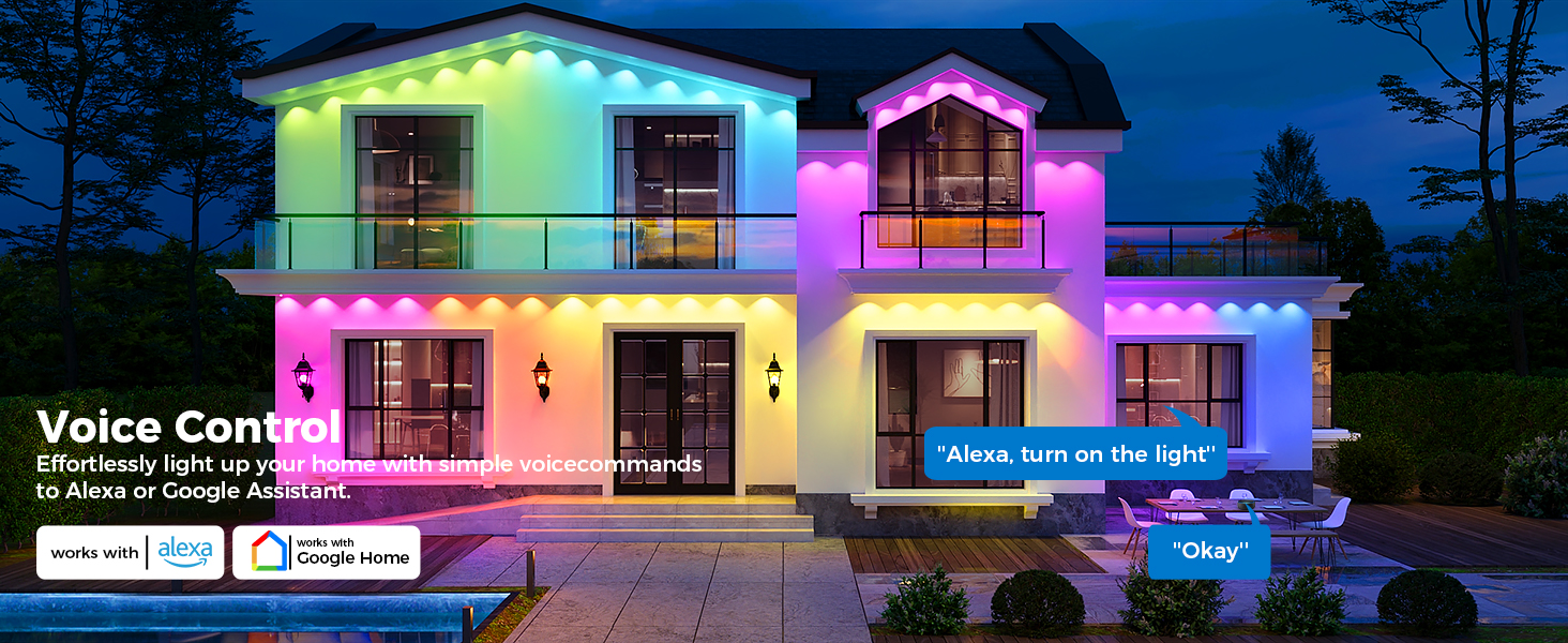 Permanent Outdoor Lights