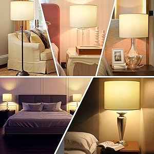 lampshade s