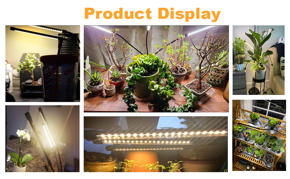 plant grow light bseah