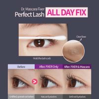 ETUDE Dr. Mascara Fixer For Perfect Lash, Korean Mascara Fixer, All-Day Curl Hold, Volumizing, Smudge-Proof, Korean Makeup, Beauty, Transparent (0.203 Fl Oz) - Image 5