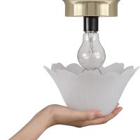 Aspen Creative 28003-15-2, Clip-on Tulip Shade in White Finish, 8" Diameter x 4" Height, 2 Pack - Image 4