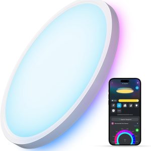 Govee Smart Ceiling Light, RGBIC LED Ceiling Light Fixture, 2400LM Flush Mount Light Fixture, DIY Colors, Works with Alexa, 2200K-6500K Ceiling Lights for Bedroom, Living Room, 12 Inch, 1 Pack