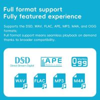 SnowSky/FiiO Echo MINI HiFi Bluetooth MP3 Player, 15Hours Playback, Independent Volume Control with 3.5mm/4.4mm Headphones Outputs (Sky Blue) - Image 4