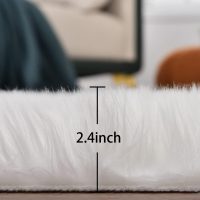 White Faux Sheepskin Fuzzy Fur Rugs for Bedroom Small Machine Washable Fluffy Area Rugs for Living Room 2x4 Shag Nursery Rug - Image 2