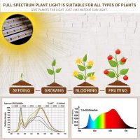 bseah Grow Light Plant Lights for Indoor Plants, Full Spectrum Plant Grow Lamp, 10 Dimmable Levels Auto ON & Off with 3/9/12H Timer - Image 4