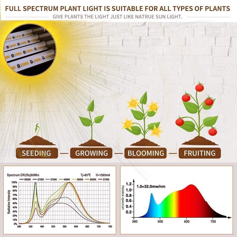 bseah Grow Light Plant Lights for Indoor Plants, Full Spectrum Plant Grow Lamp, 10 Dimmable Levels Auto ON & Off with 3/9/12H Timer - Image 4