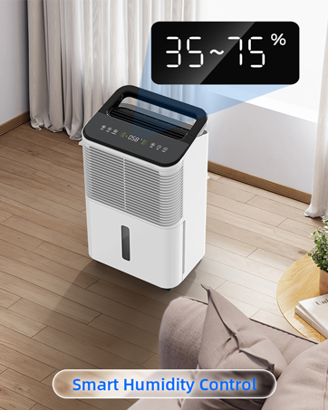 dehumidifier for home