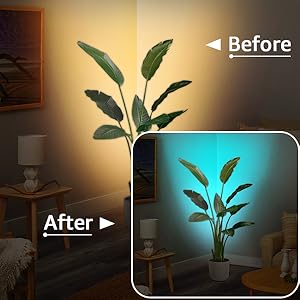 accent lighting