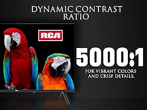 Dynamic Contrast Ratio