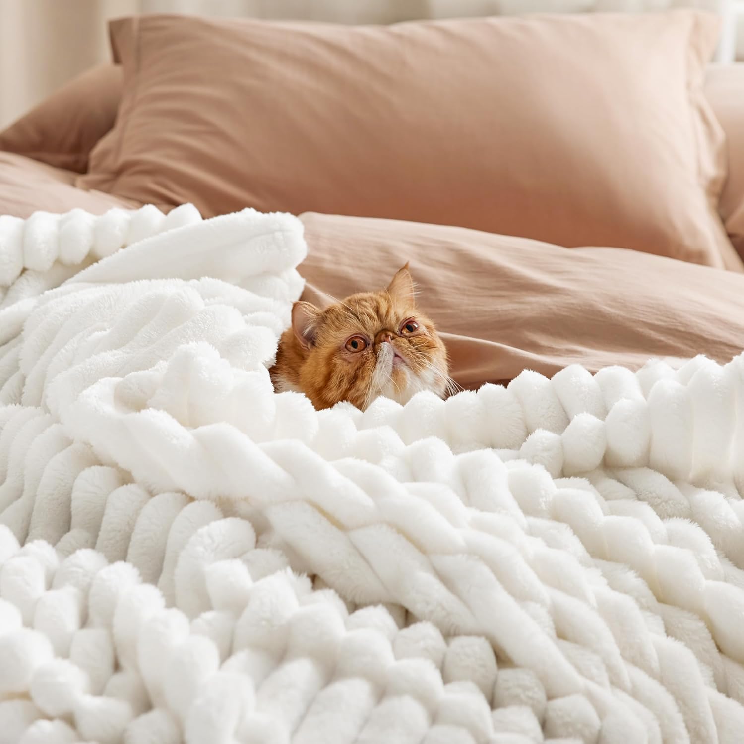 Bedsure GentleSoft Blankets Queen Size for Bed - Cozy Soft Blankets for Women, Cute Large Bedding Fleece Throws for Girls, Off White, 90x90 Inches - Image 4